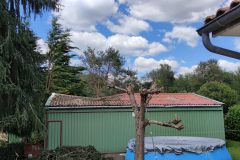 Intervention apres tempete arbre cassé sur la toiture