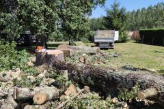 Démontage fini Chêne Montpon