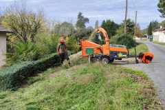 Broyage de branches